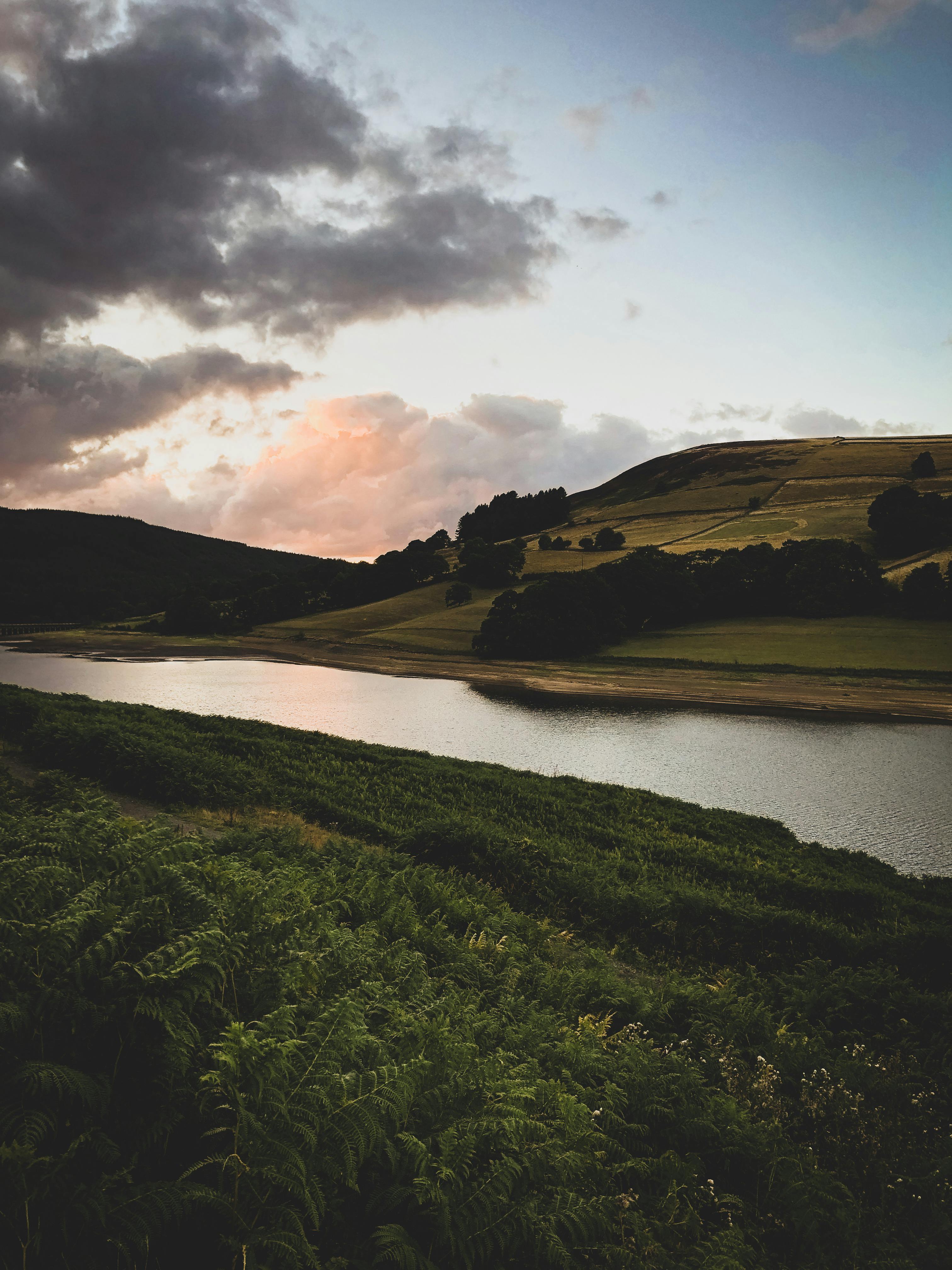 Nature in England