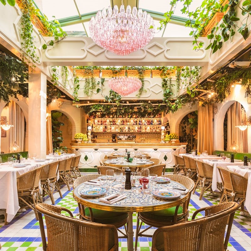 Beautiful restaurant with plants hanging on the ceiling